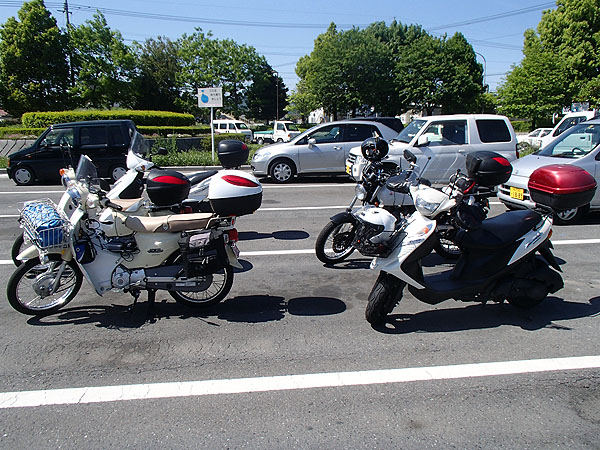 道のオアシス「神川」